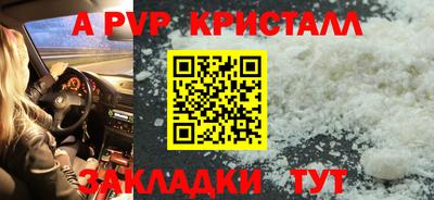 шишки Дубна