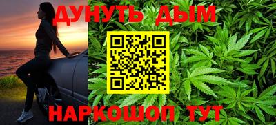 шишки Дубна