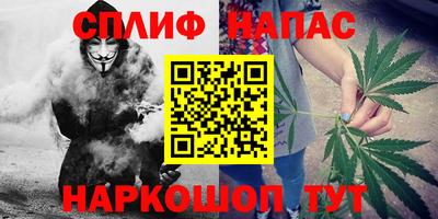 шишки Дубна