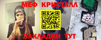 шишки Дубна