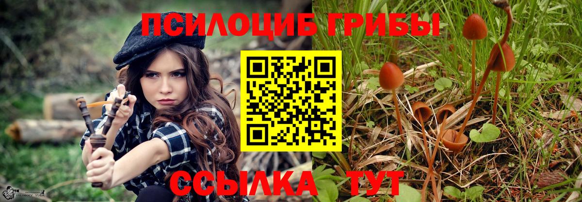 Луга  Галлюциногенные грибы GOLDEN TEACHER  Вход с VPN 